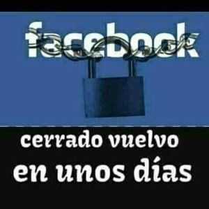 Meet your Posher, Rufo